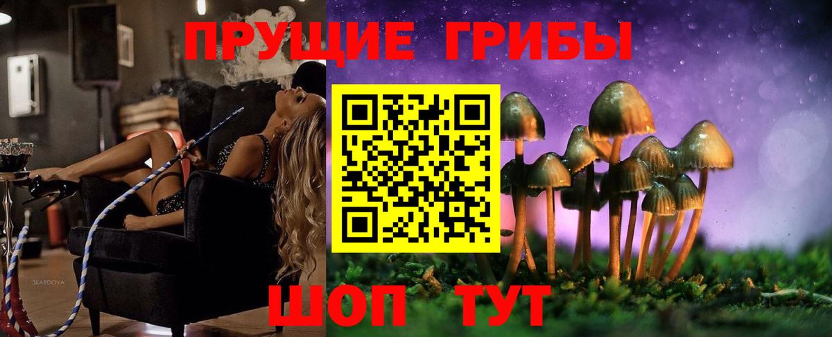Псилоцибиновые грибы MAGIC MUSHROOMS  Вход с VPN  Барнаул 